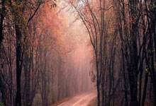 虎扑体育官网:福特锦标赛聚齐世界前十选手 科达与高宝璟领衔.