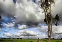 国米2射正进2球,国米2-1乌迪内斯全场数据:射门13-11,射正2-4.