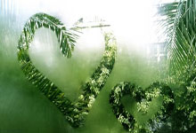 带队红魔三胜一和 代帅范尼去留有悬念.