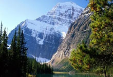 亚冬会｜冰雪运动引领冰雪经济成为新增长点新华网.